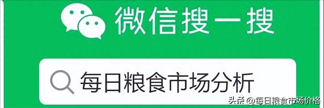 2024年12月2日玉米价格及分析