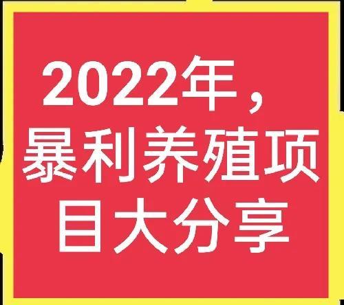 2022年养殖行业赚钱新风向