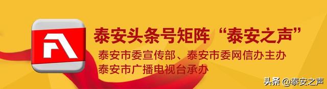 山东德邦物流泰安分公司被查封，将面临立案调查